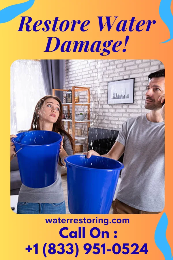 water restoration Zenith Water Mitigation Specialists Saunemin