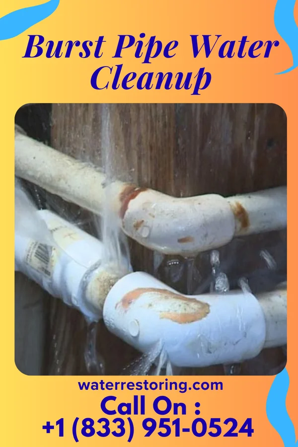 Burst Pipe Water Cleanup in Saunemin, IL