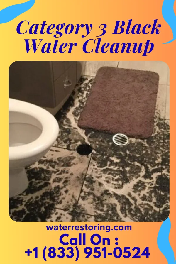 Category 3 Black Water Cleanup in Saunemin, IL